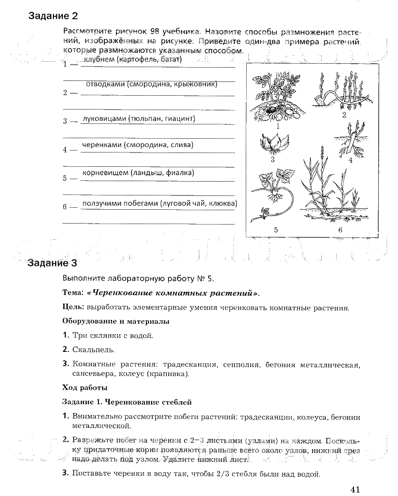 гдз 6 класс рабочая тетрадь часть 1 страница 41 биология Пономарева, Корнилова