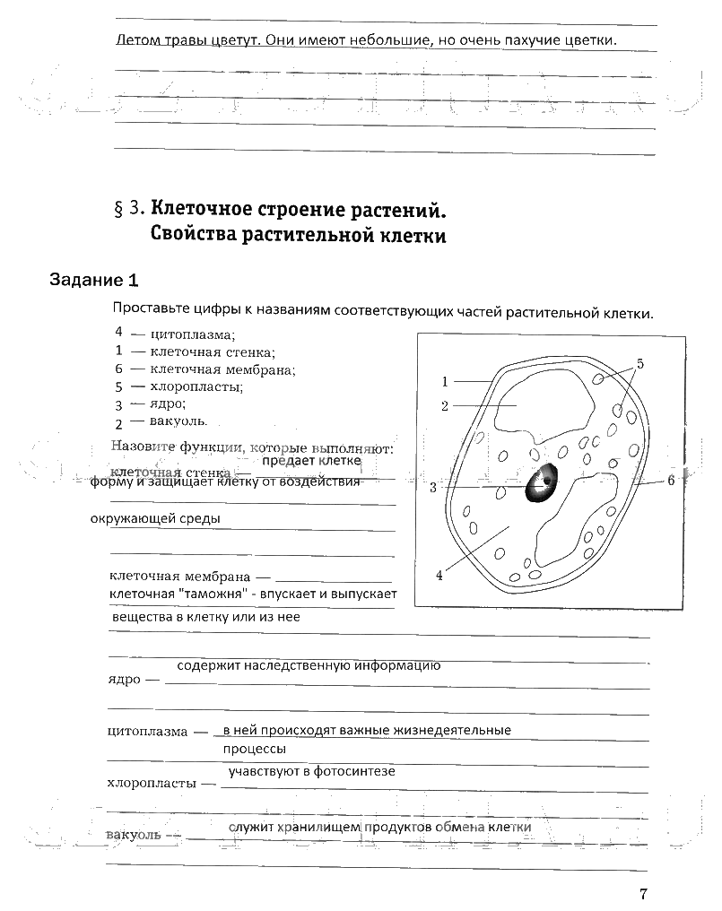 гдз 6 класс рабочая тетрадь часть 1 страница 7 биология Пономарева, Корнилова