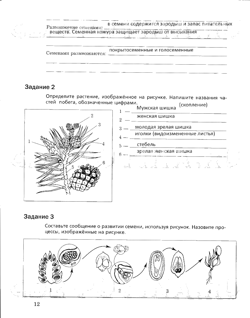 гдз 6 класс рабочая тетрадь часть 2 страница 12 биология Пономарева, Корнилова