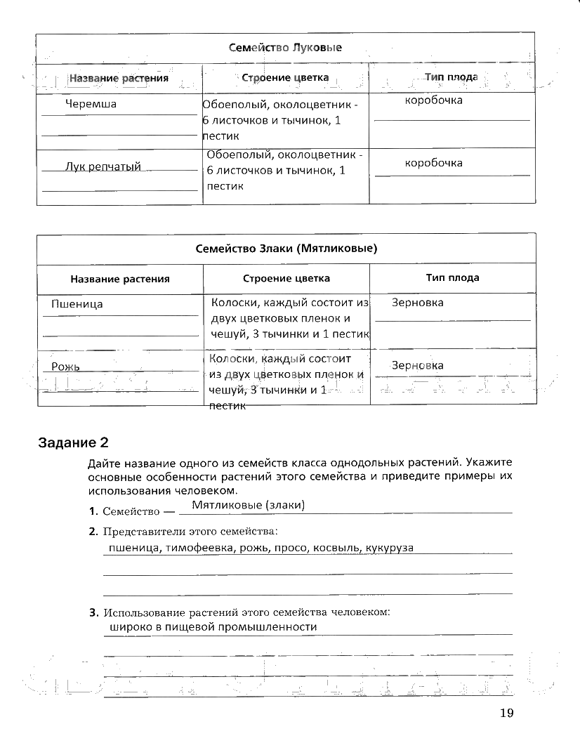 гдз 6 класс рабочая тетрадь часть 2 страница 19 биология Пономарева, Корнилова