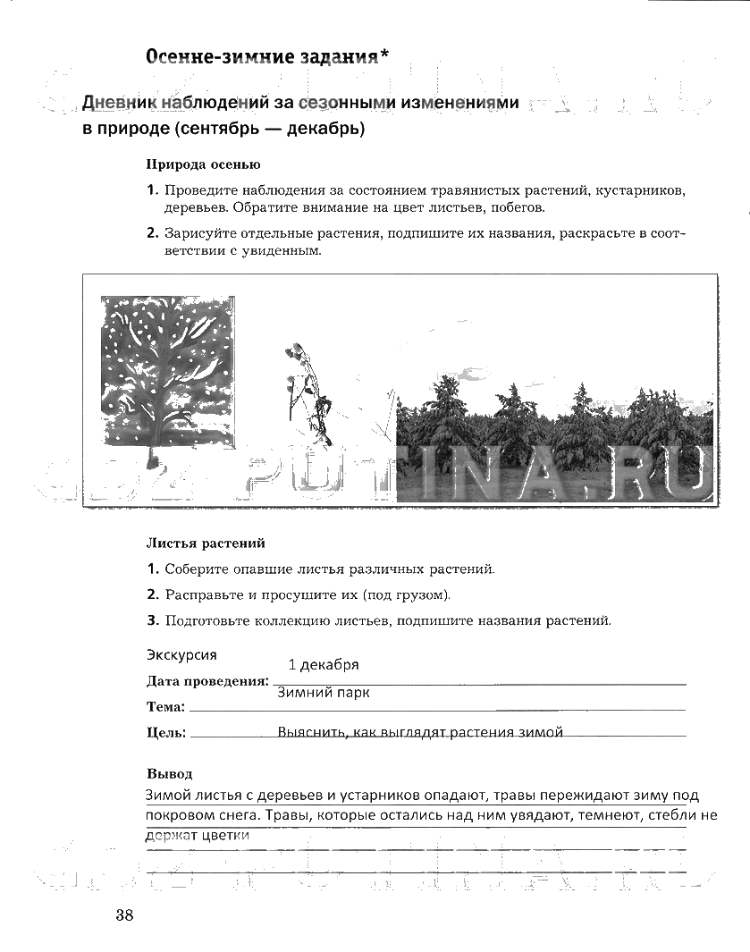 гдз 6 класс рабочая тетрадь часть 2 страница 38 биология Пономарева, Корнилова