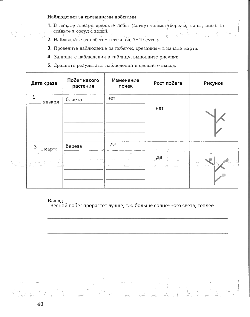 гдз 6 класс рабочая тетрадь часть 2 страница 40 биология Пономарева, Корнилова