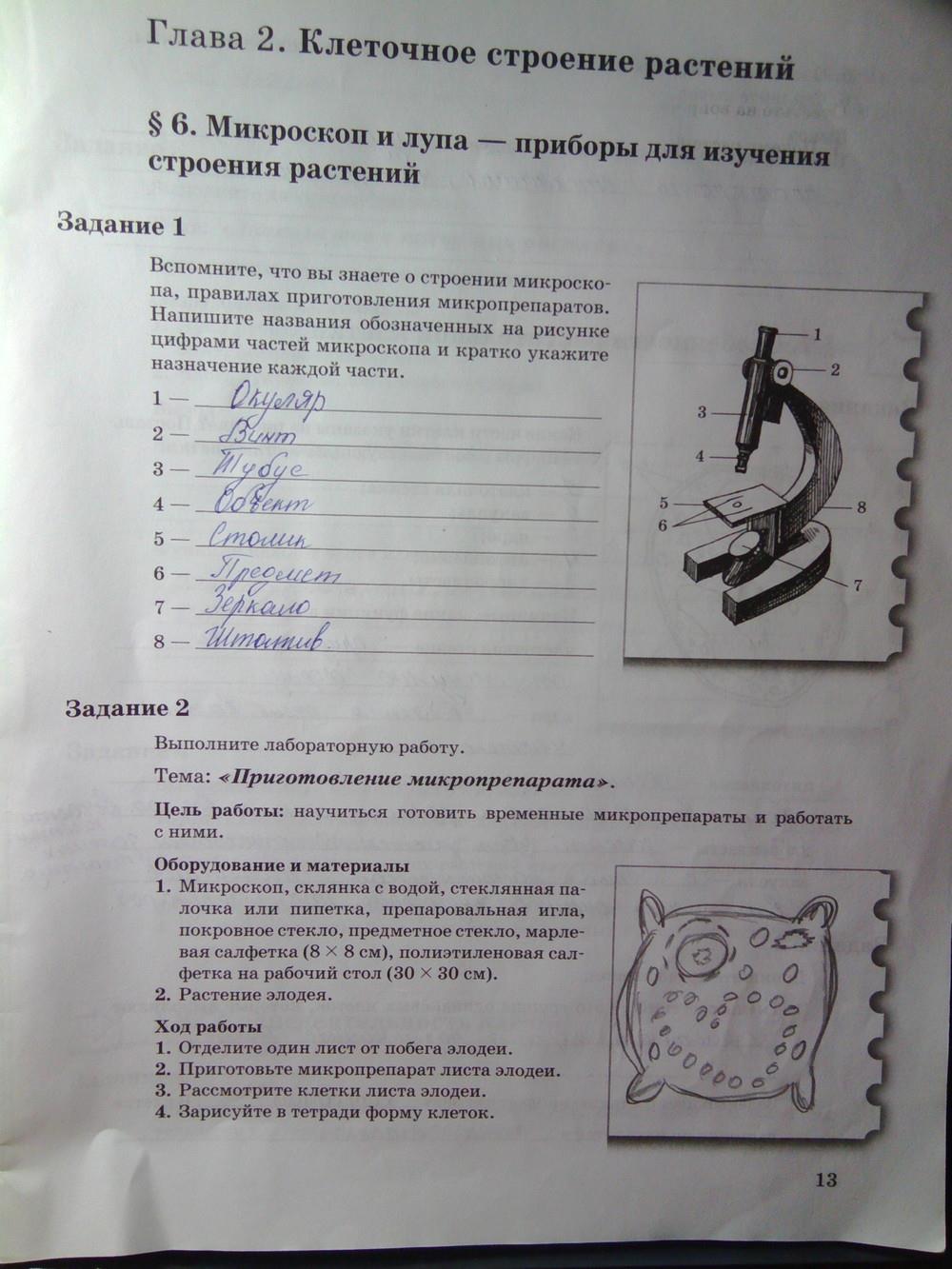 гдз 6 класс рабочая тетрадь часть 1 страница 13 биология Пономарева, Корнилова