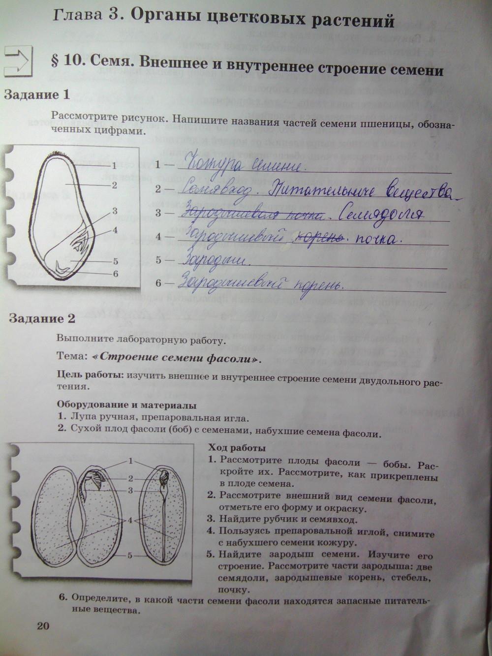 гдз 6 класс рабочая тетрадь часть 1 страница 20 биология Пономарева, Корнилова