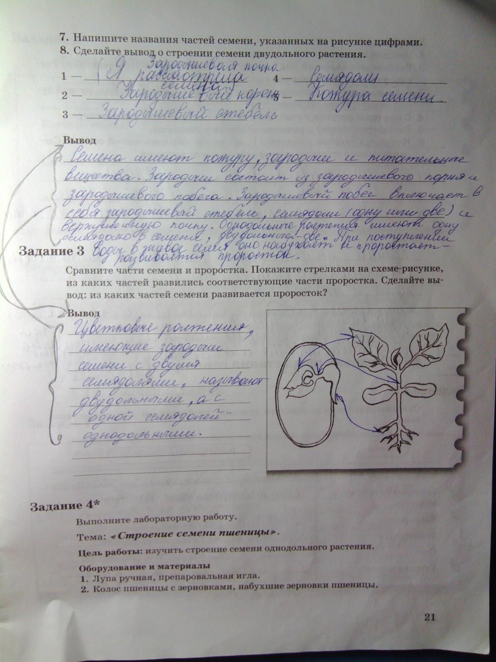 гдз 6 класс рабочая тетрадь часть 1 страница 21 биология Пономарева, Корнилова