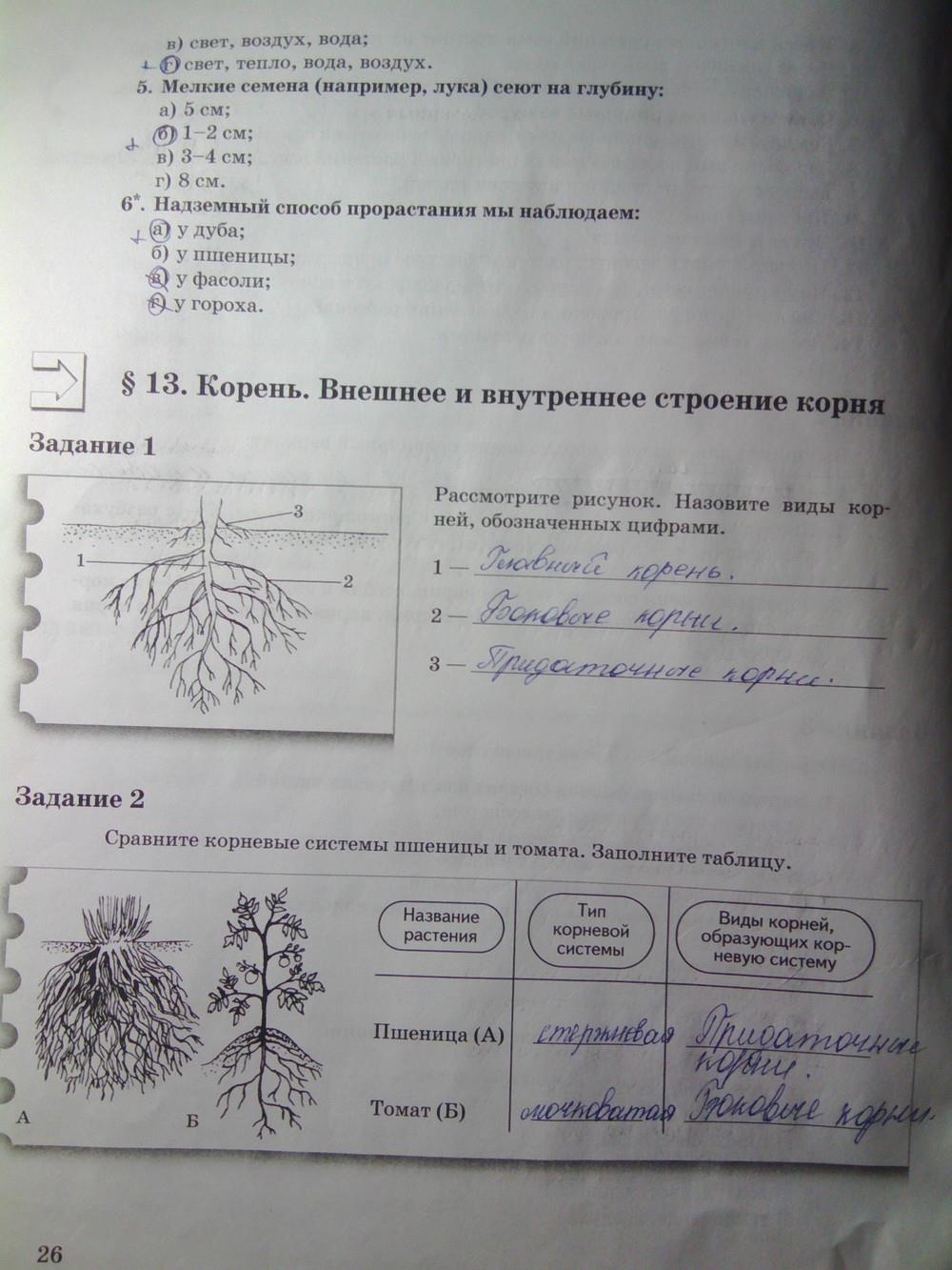 гдз 6 класс рабочая тетрадь часть 1 страница 26 биология Пономарева, Корнилова