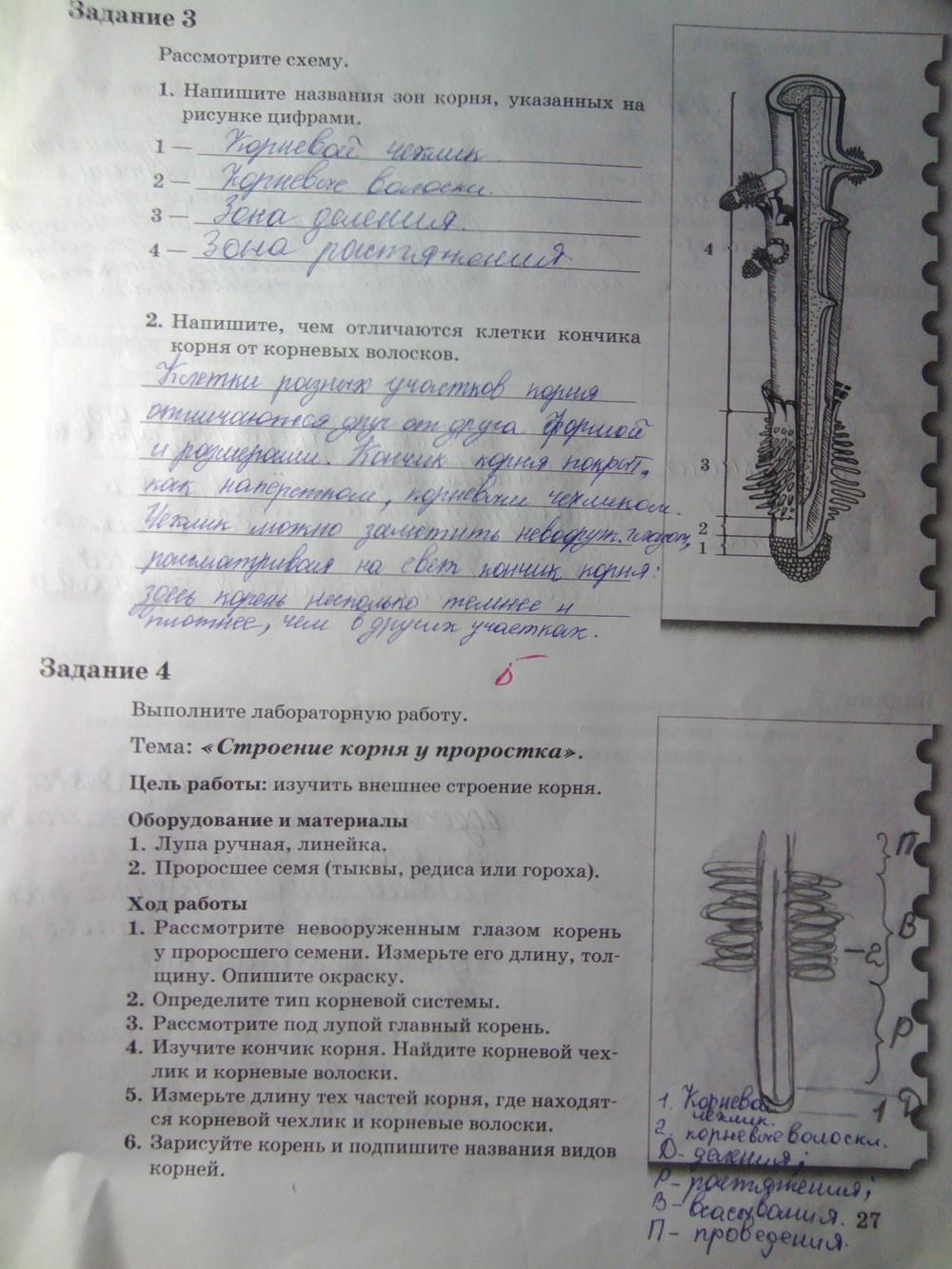 гдз 6 класс рабочая тетрадь часть 1 страница 27 биология Пономарева, Корнилова