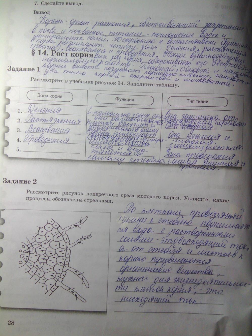 Рабочая тетрадь по биологии 6 класс Пономарева задания