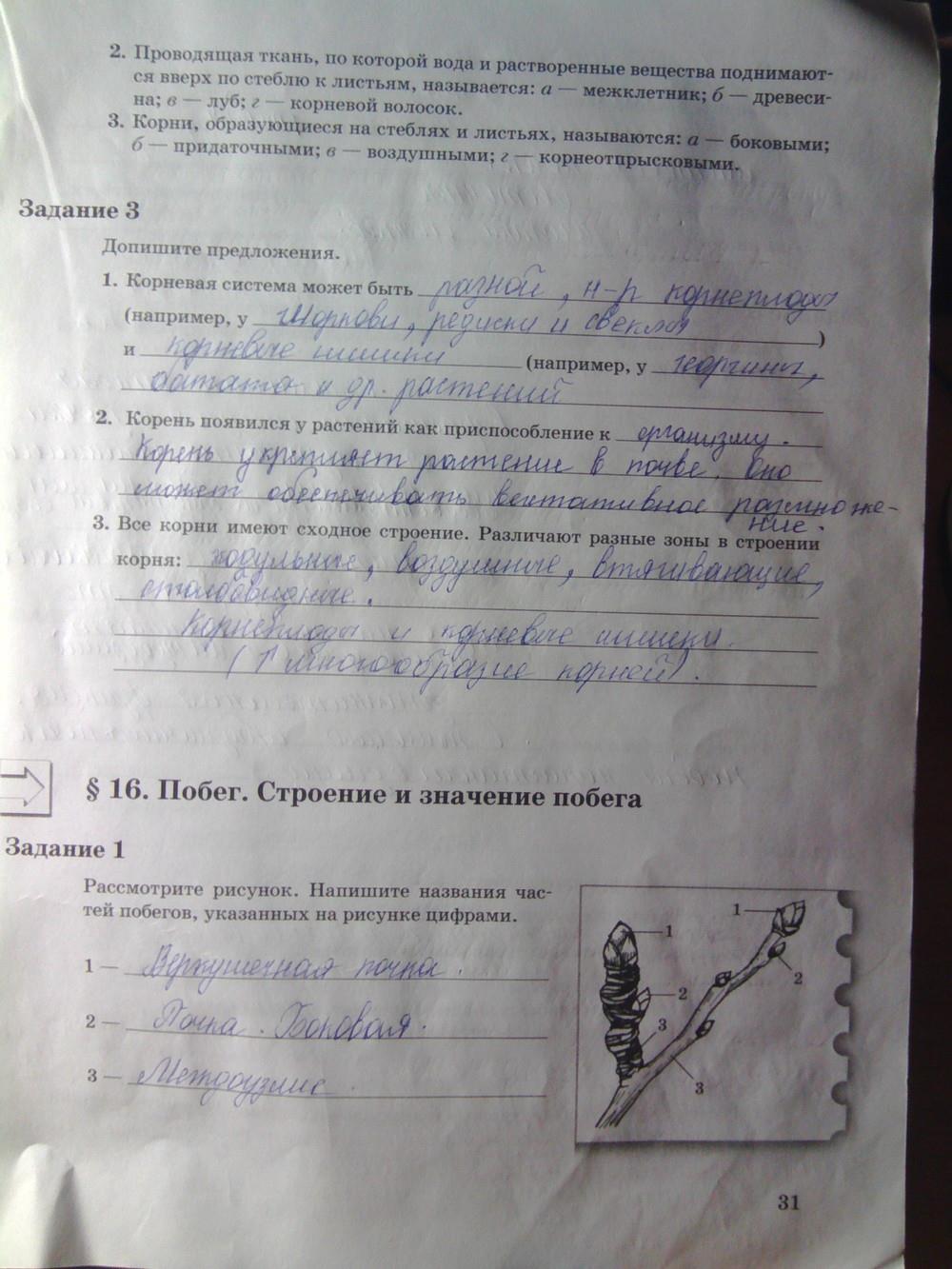 гдз 6 класс рабочая тетрадь часть 1 страница 31 биология Пономарева, Корнилова