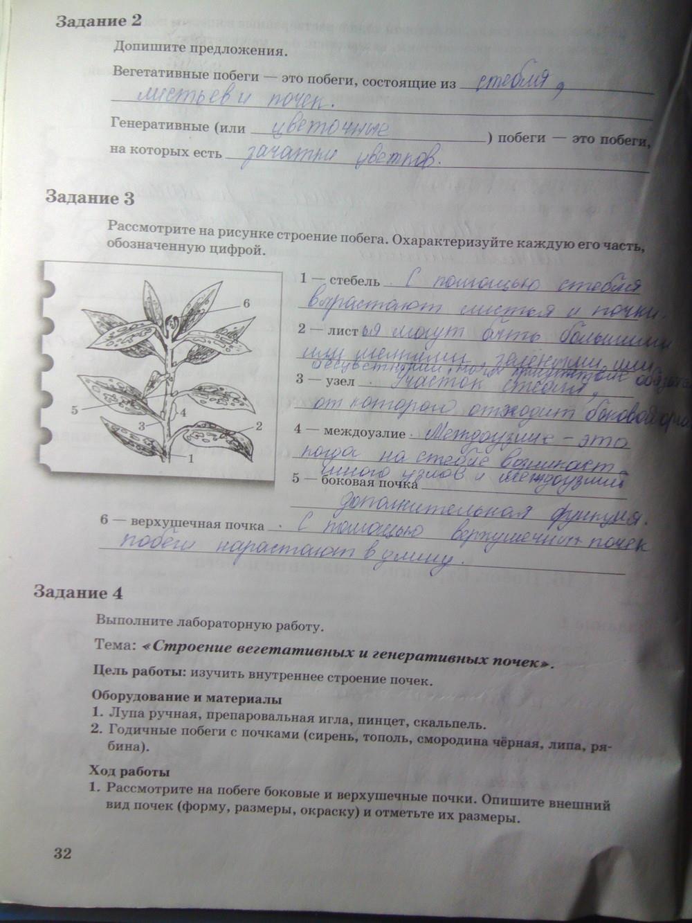 гдз 6 класс рабочая тетрадь часть 1 страница 32 биология Пономарева, Корнилова