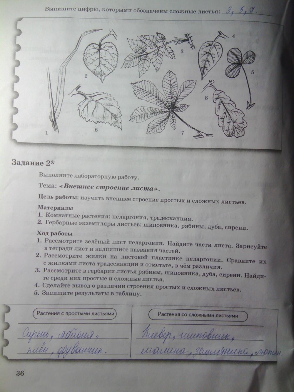 гдз 6 класс рабочая тетрадь часть 1 страница 36 биология Пономарева, Корнилова