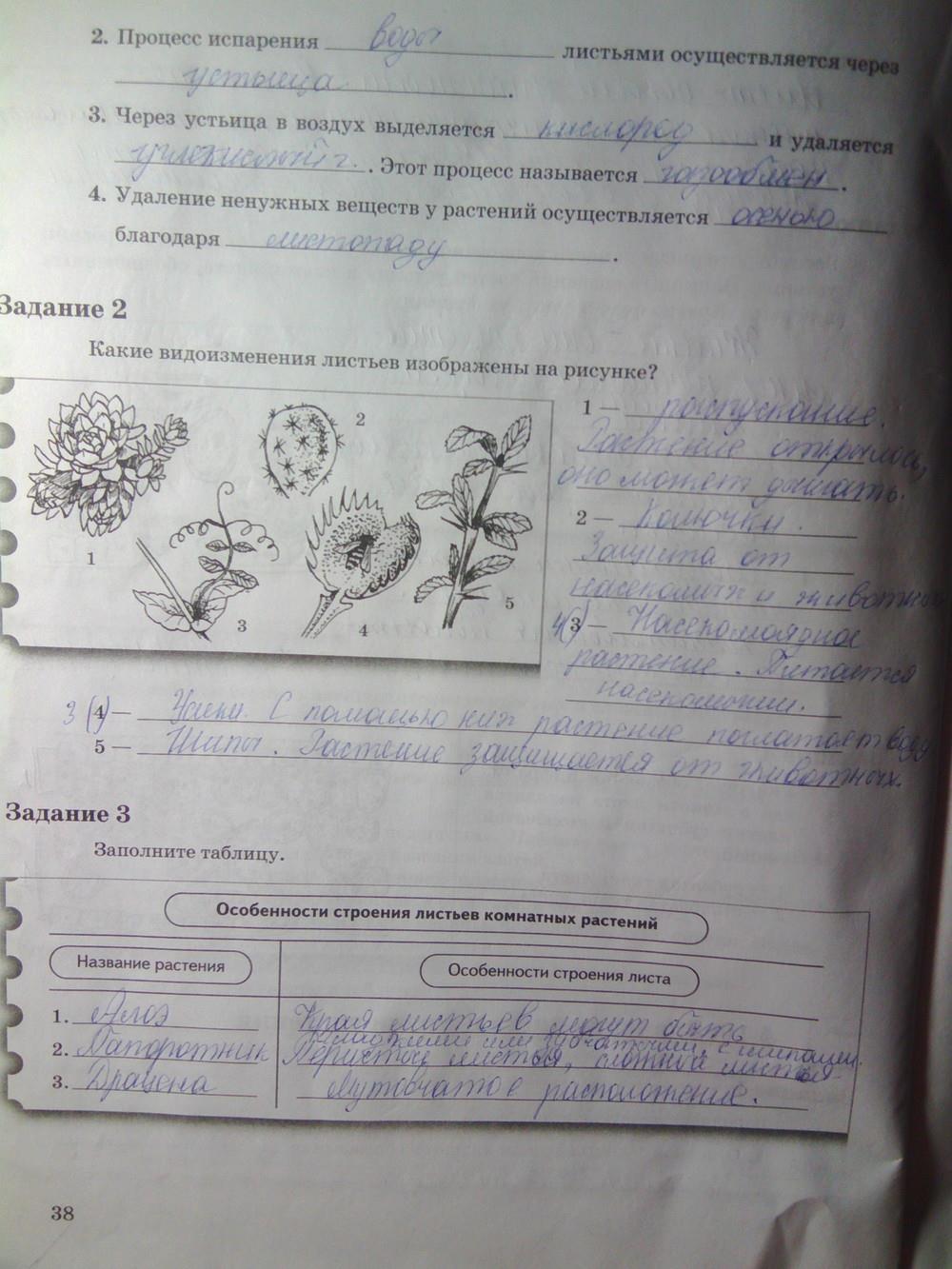 гдз 6 класс рабочая тетрадь часть 1 страница 38 биология Пономарева, Корнилова