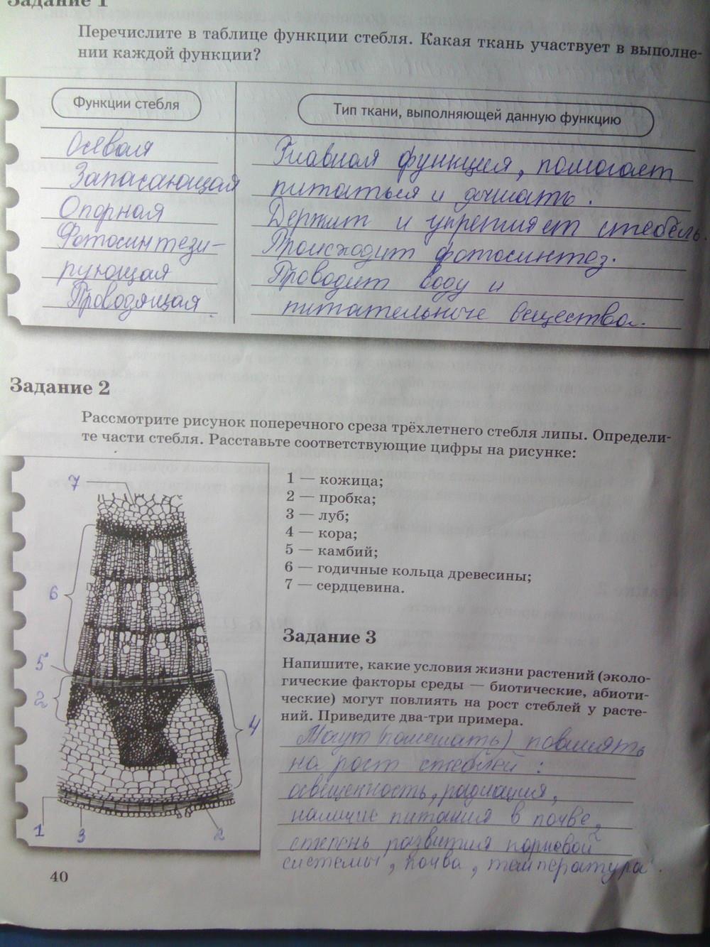 гдз 6 класс рабочая тетрадь часть 1 страница 40 биология Пономарева, Корнилова