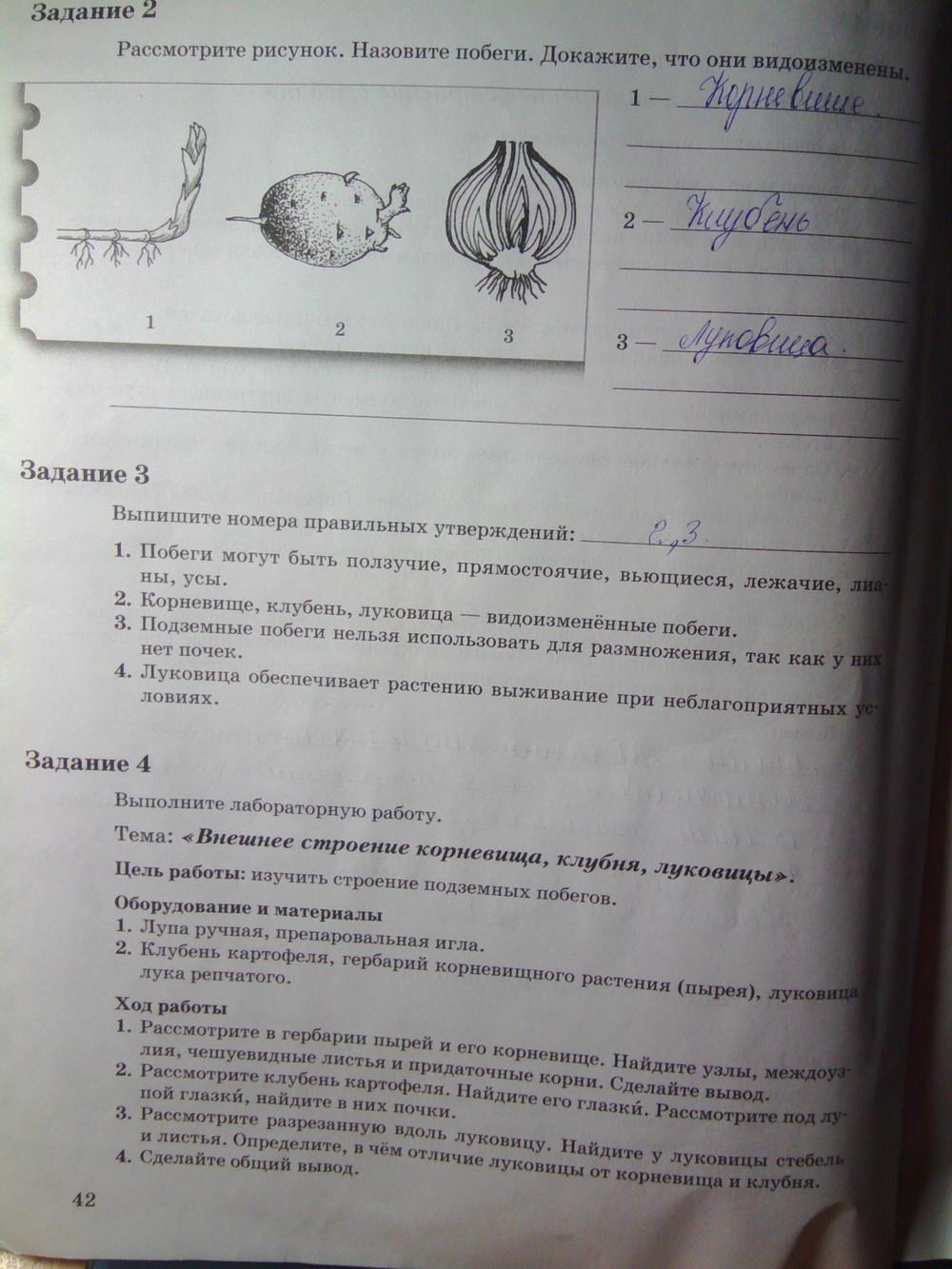 гдз 6 класс рабочая тетрадь часть 1 страница 42 биология Пономарева, Корнилова