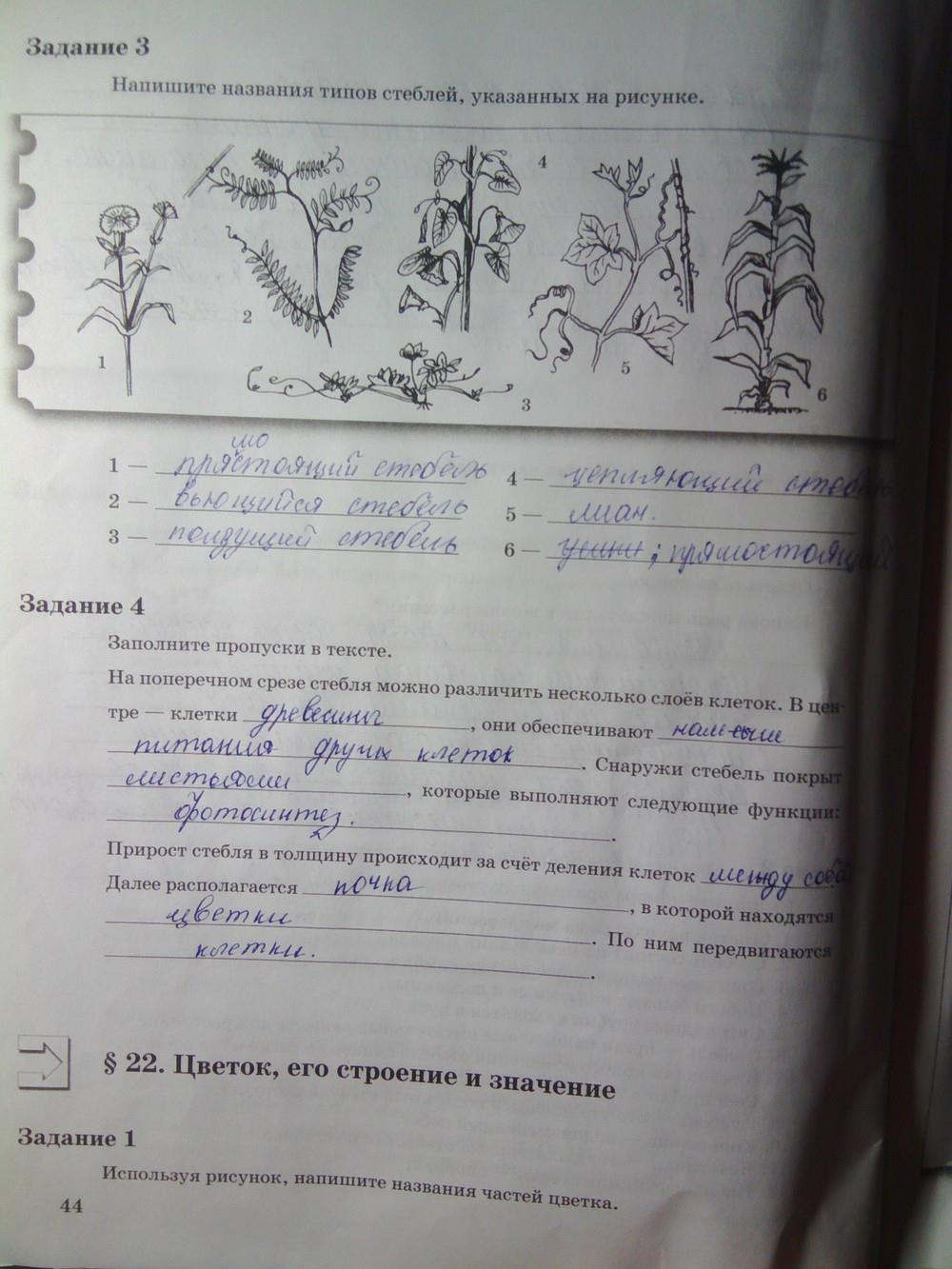 Гдз биология 6 класс Пономарева Корнилова рабочая тетрадь 2