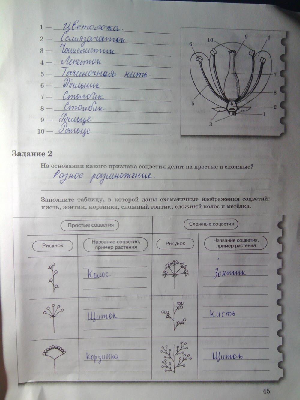 гдз 6 класс рабочая тетрадь часть 1 страница 45 биология Пономарева, Корнилова