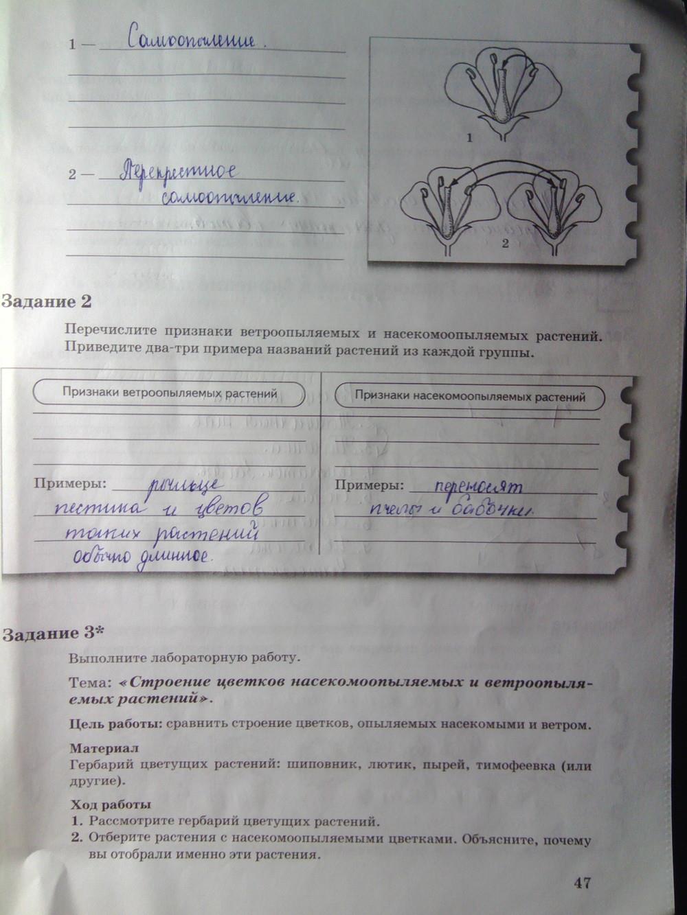 гдз 6 класс рабочая тетрадь часть 1 страница 47 биология Пономарева, Корнилова