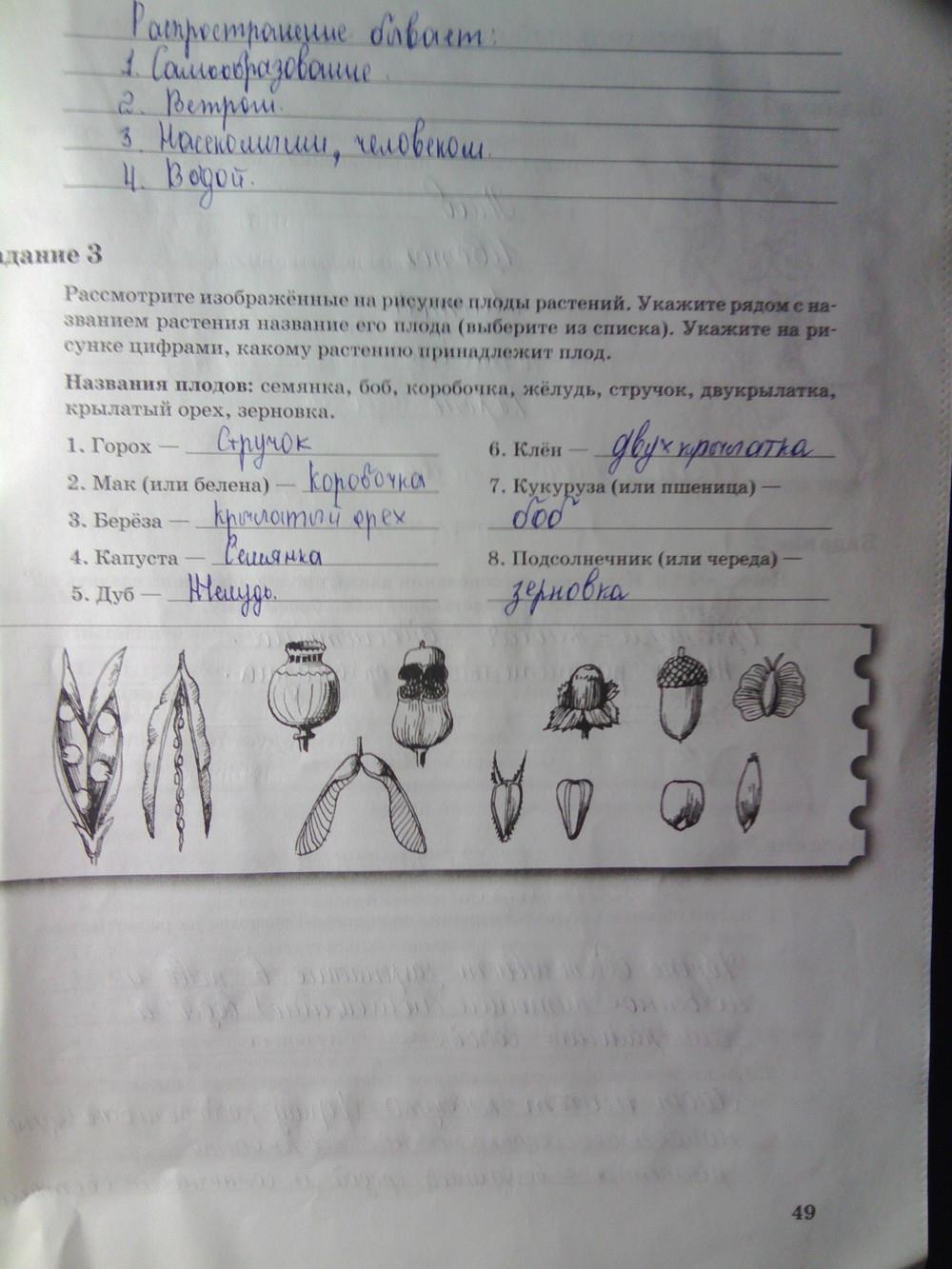 гдз 6 класс рабочая тетрадь часть 1 страница 49 биология Пономарева, Корнилова
