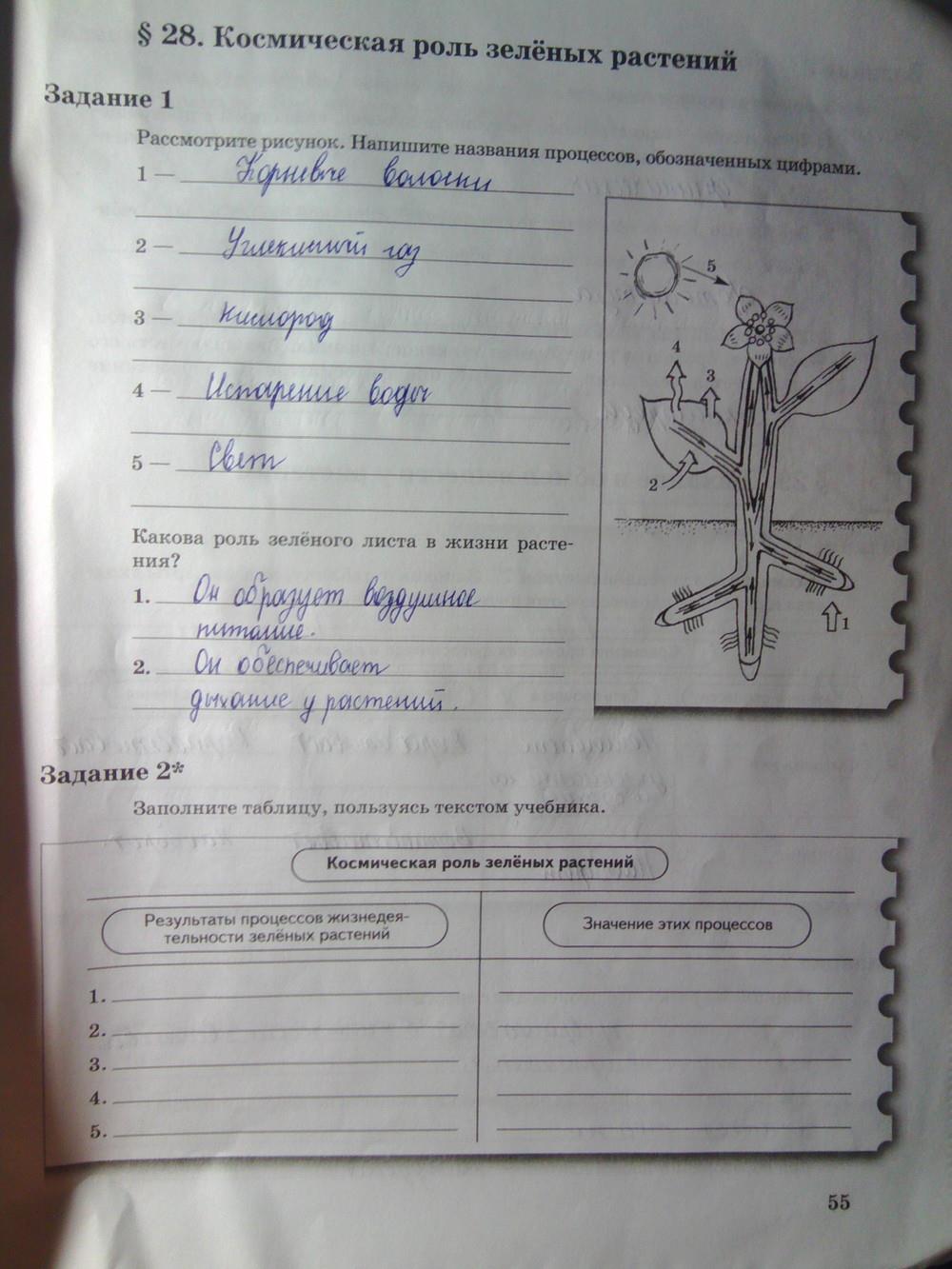гдз 6 класс рабочая тетрадь часть 1 страница 55 биология Пономарева, Корнилова