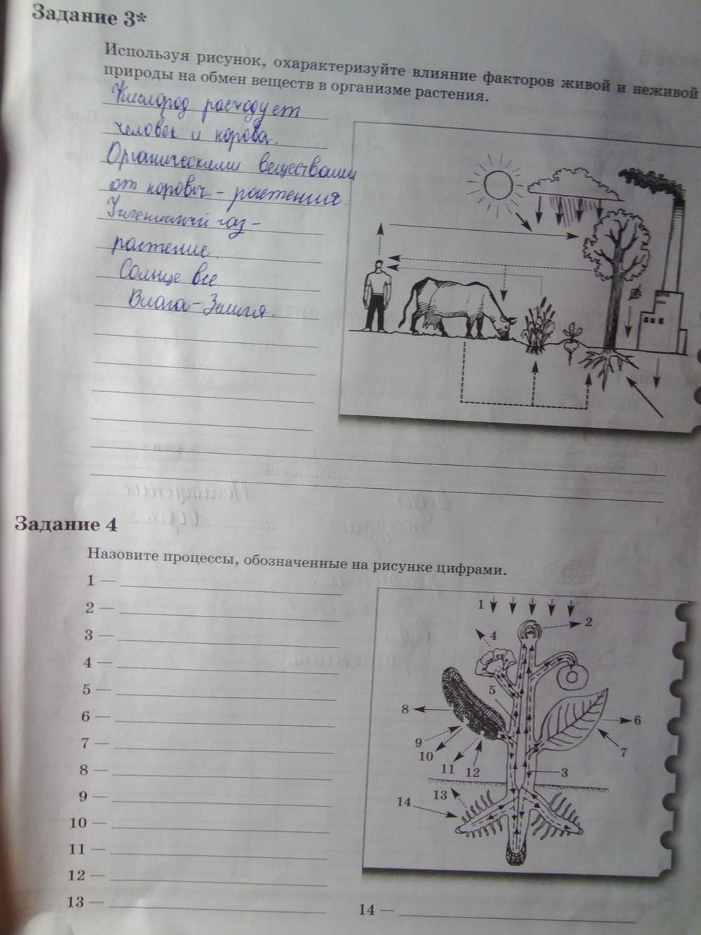 гдз 6 класс рабочая тетрадь часть 1 страница 57 биология Пономарева, Корнилова