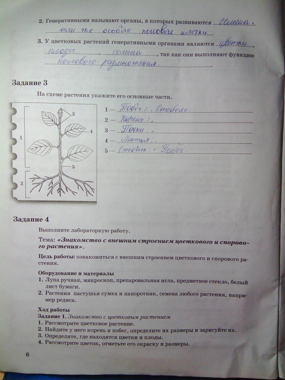 гдз 6 класс рабочая тетрадь часть 1 страница 6 биология Пономарева, Корнилова