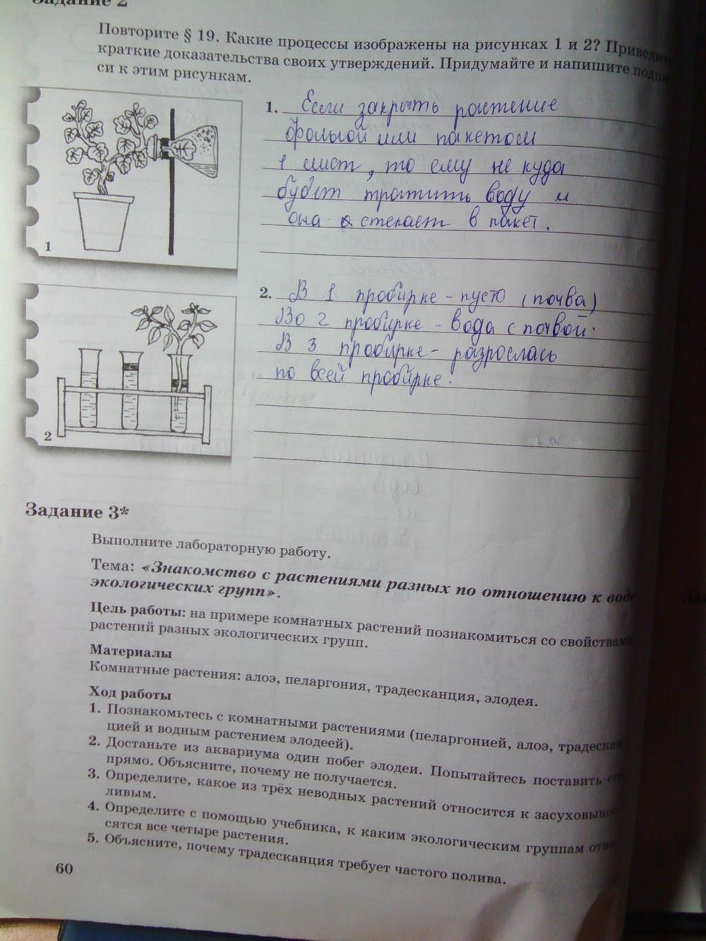 гдз 6 класс рабочая тетрадь часть 1 страница 60 биология Пономарева, Корнилова