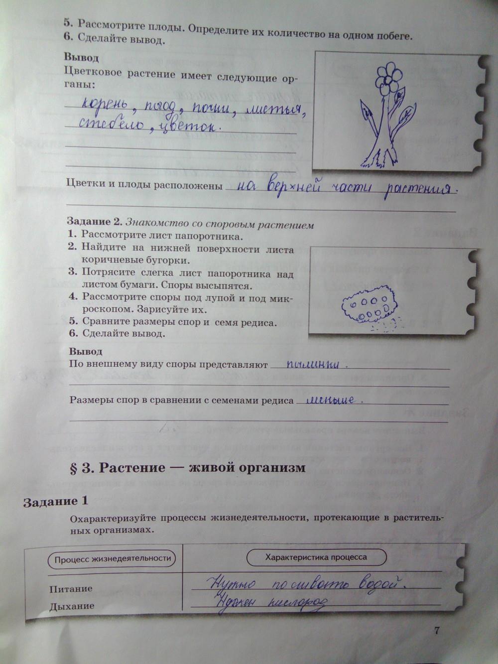 гдз 6 класс рабочая тетрадь часть 1 страница 7 биология Пономарева, Корнилова