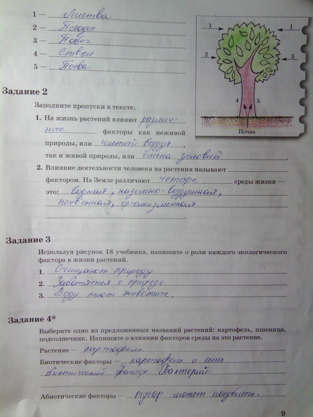 Рабочая тетрадь по биологии 9 класс Пономарева 2 часть