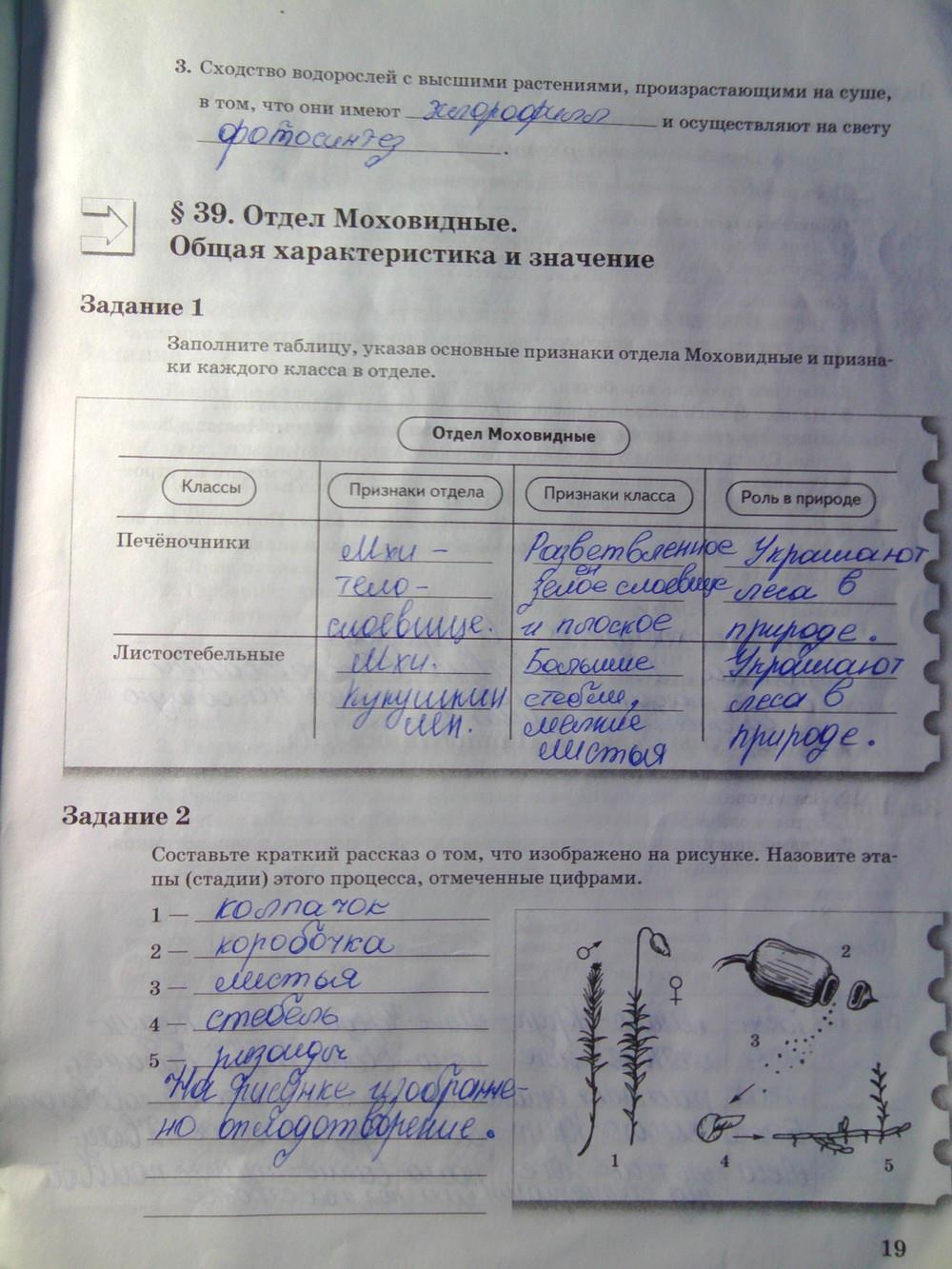 гдз 6 класс рабочая тетрадь часть 2 страница 19 биология Пономарева, Корнилова