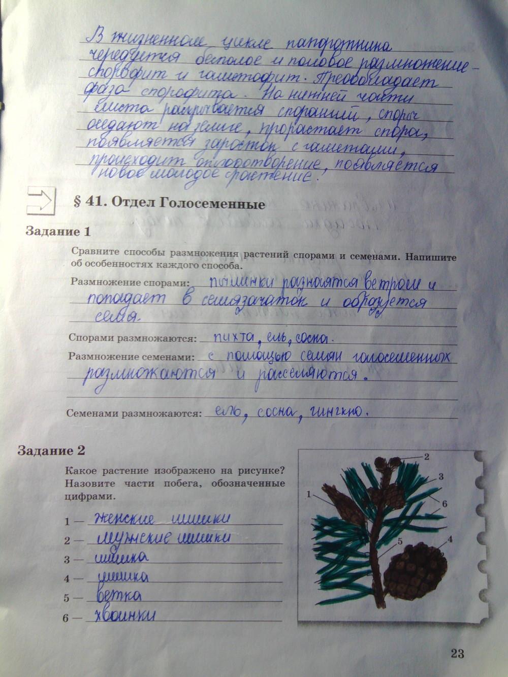 гдз 6 класс рабочая тетрадь часть 2 страница 23 биология Пономарева, Корнилова