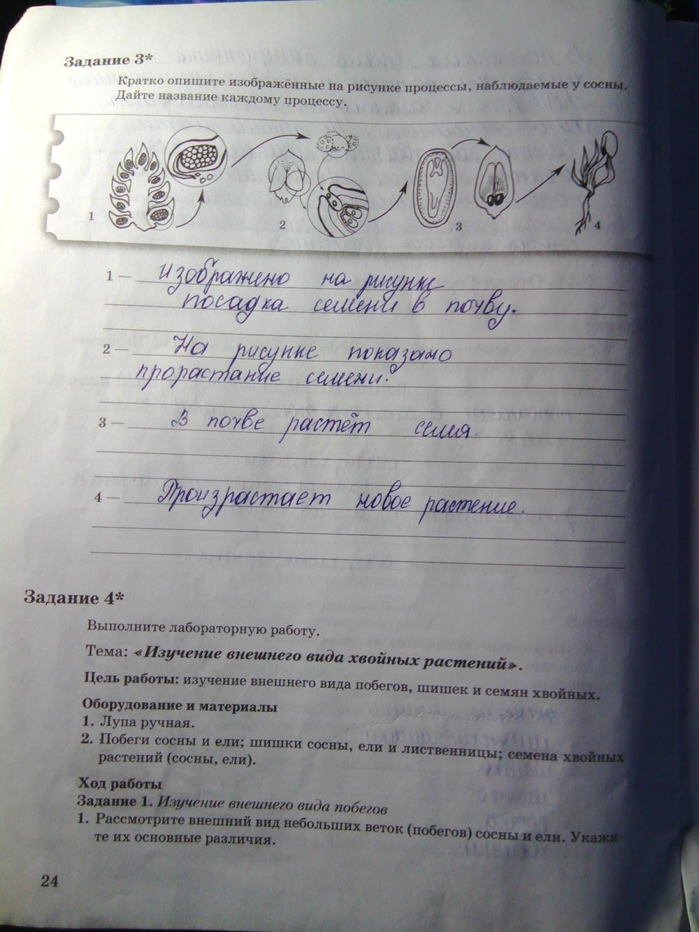 гдз 6 класс рабочая тетрадь часть 2 страница 24 биология Пономарева, Корнилова