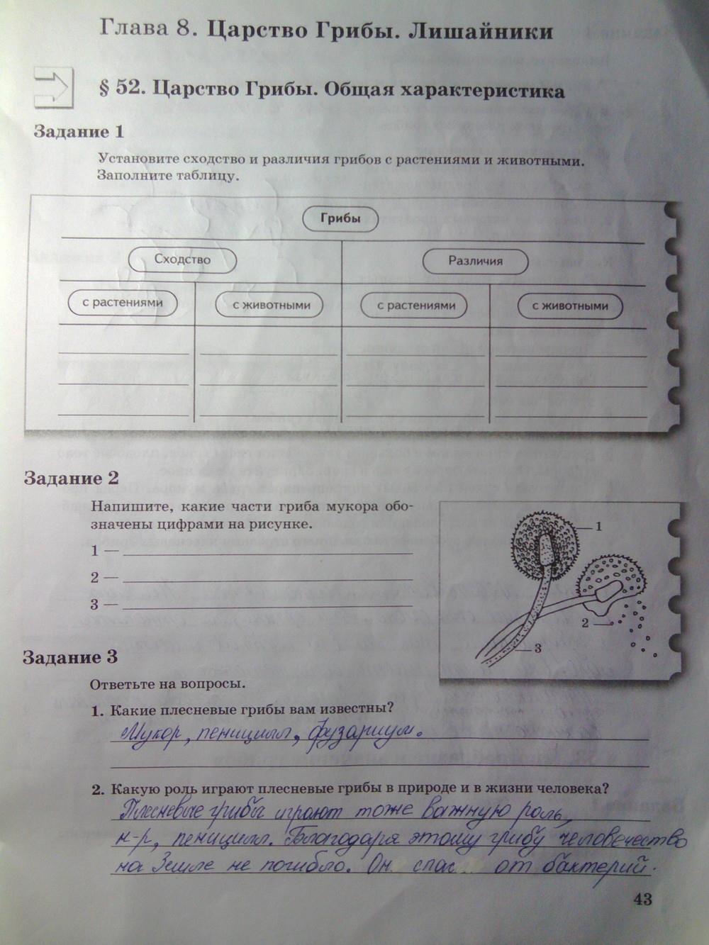 гдз 6 класс рабочая тетрадь часть 2 страница 43 биология Пономарева, Корнилова