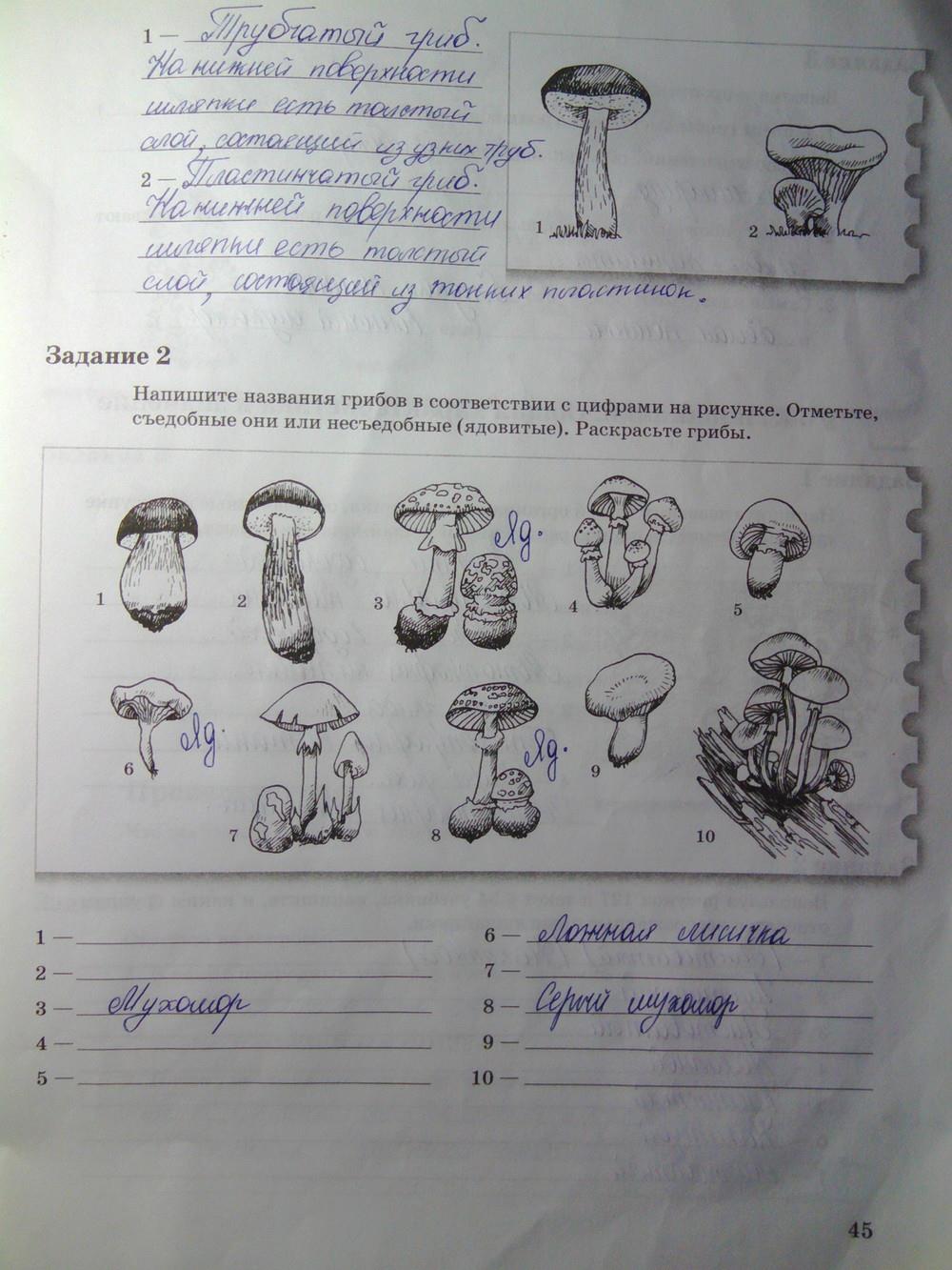 гдз 6 класс рабочая тетрадь часть 2 страница 45 биология Пономарева, Корнилова