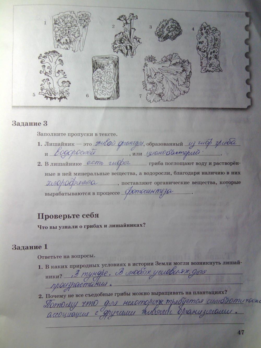 гдз 6 класс рабочая тетрадь часть 2 страница 47 биология Пономарева, Корнилова
