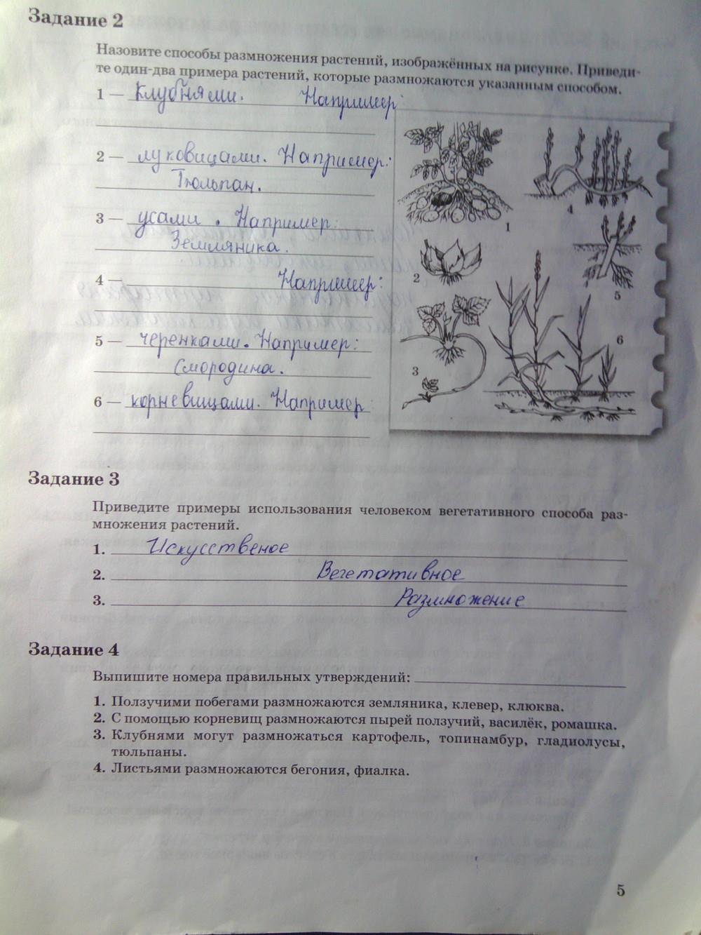 гдз 6 класс рабочая тетрадь часть 2 страница 5 биология Пономарева, Корнилова