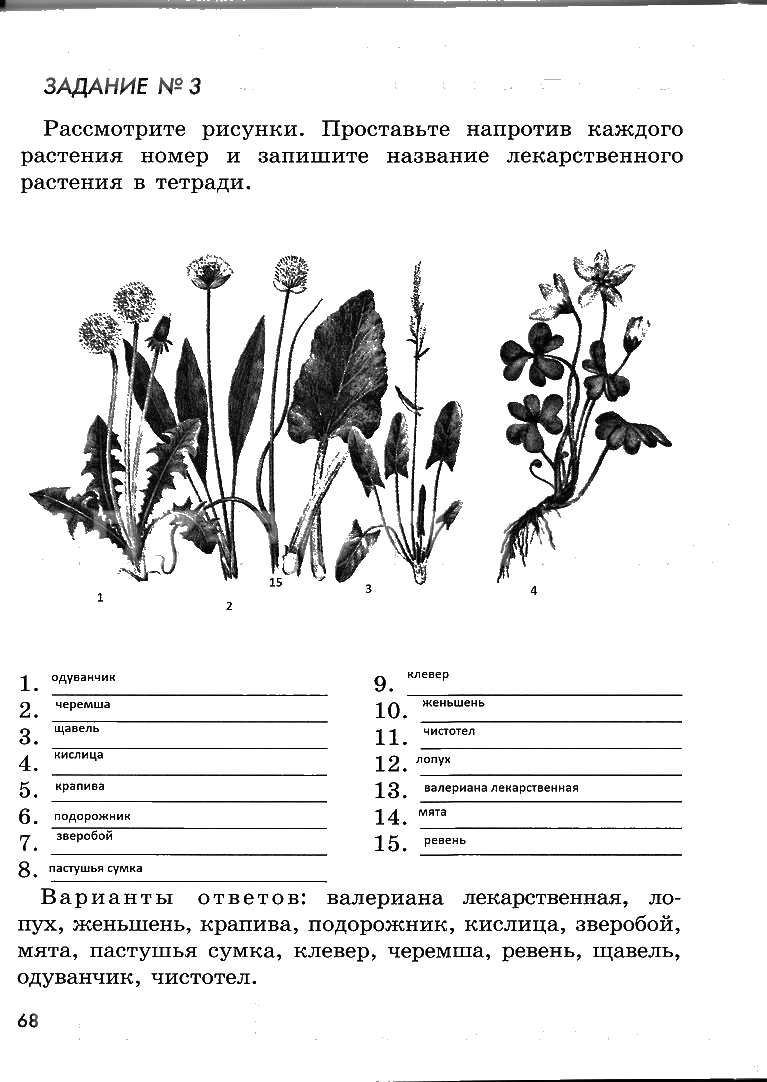 гдз 6 класс рабочая тетрадь страница 68 ОБЖ Смирнов, Хренников, Маслов