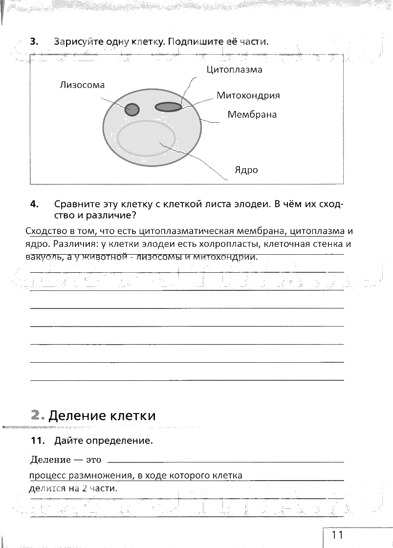 гдз 6 класс рабочая тетрадь страница 11 биология Сонин