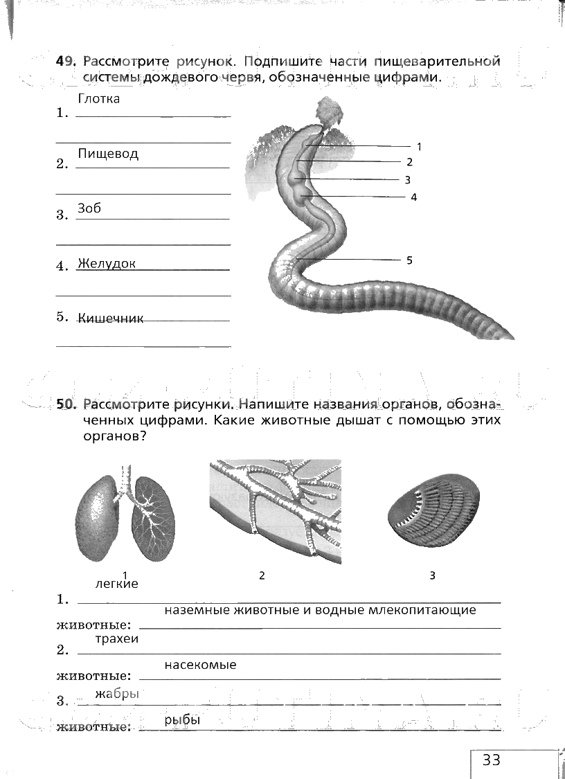 гдз 6 класс рабочая тетрадь страница 33 биология Сонин