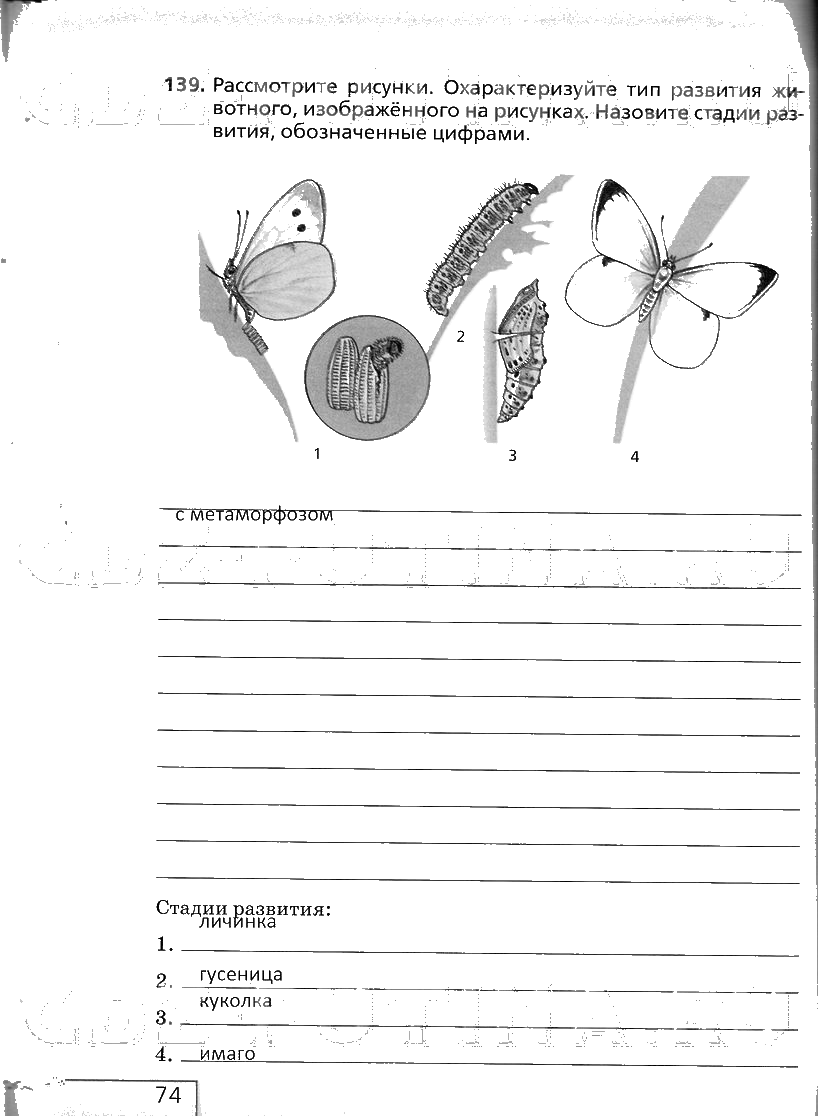 гдз 6 класс рабочая тетрадь страница 74 биология Сонин