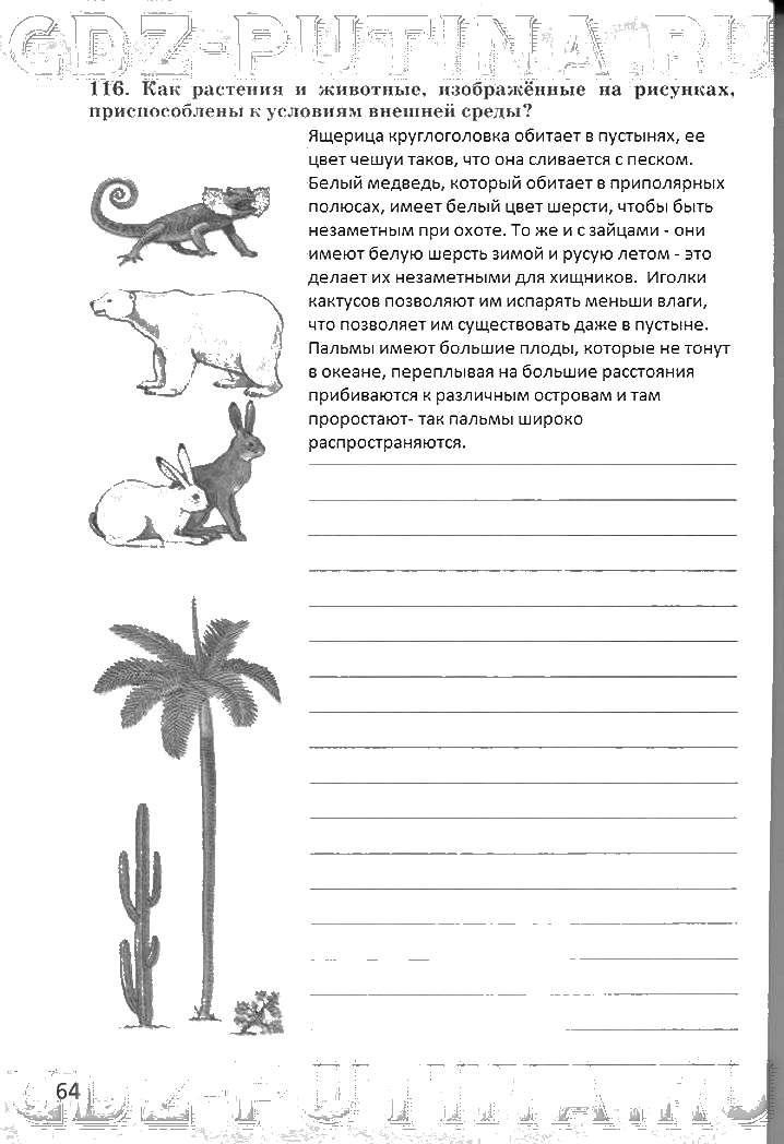 гдз 6 класс рабочая тетрадь страница 64 биология Сонин