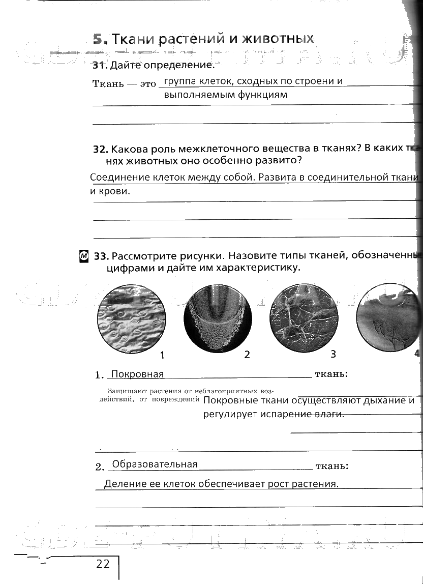 гдз 6 класс рабочая тетрадь страница 22 биология Сонин