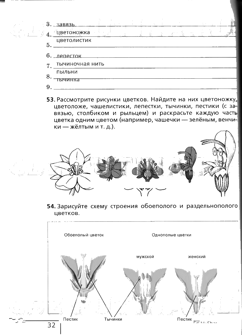гдз 6 класс рабочая тетрадь страница 32 биология Сонин