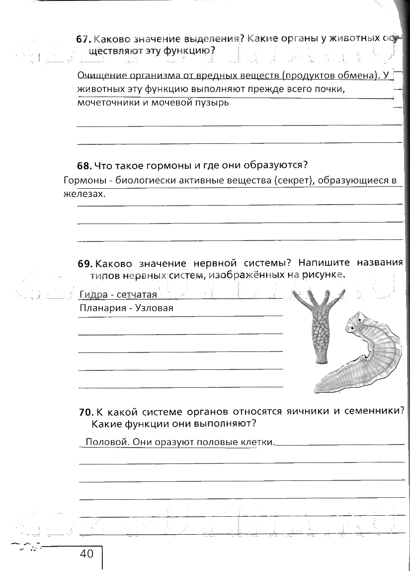 гдз 6 класс рабочая тетрадь страница 40 биология Сонин