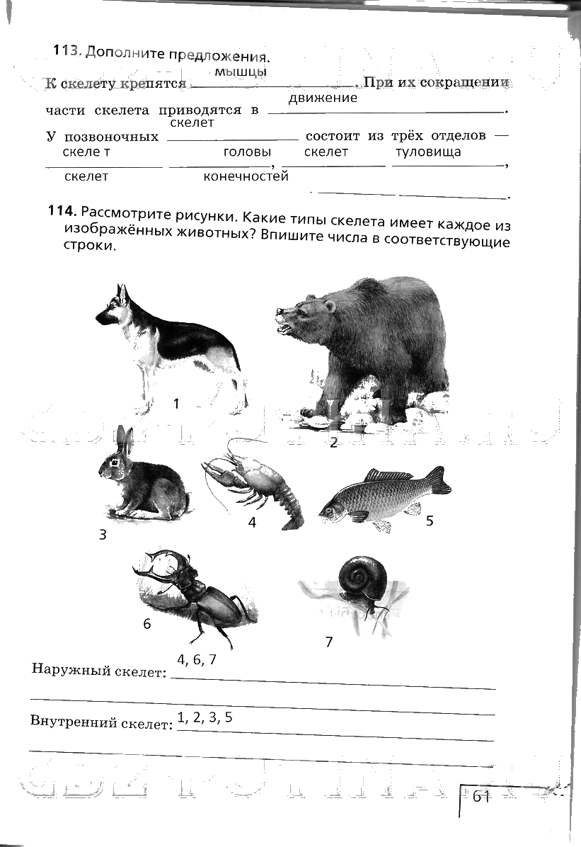 гдз 6 класс рабочая тетрадь страница 61 биология Сонин