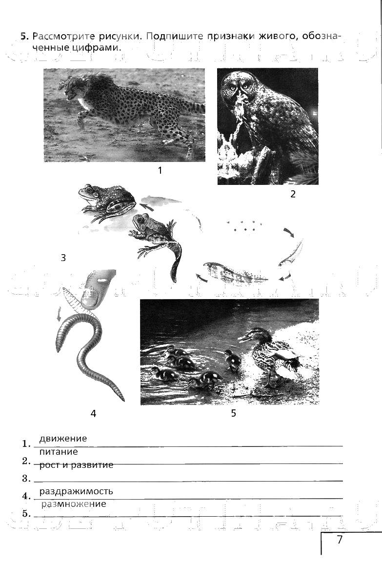 гдз 6 класс рабочая тетрадь страница 7 биология Сонин