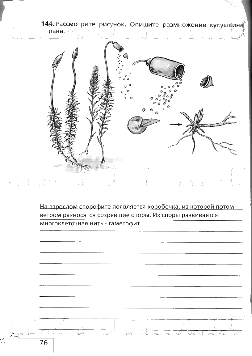 гдз 6 класс рабочая тетрадь страница 76 биология Сонин