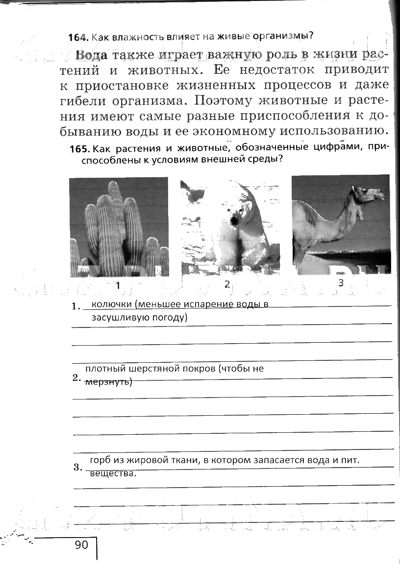 гдз 6 класс рабочая тетрадь страница 90 биология Сонин