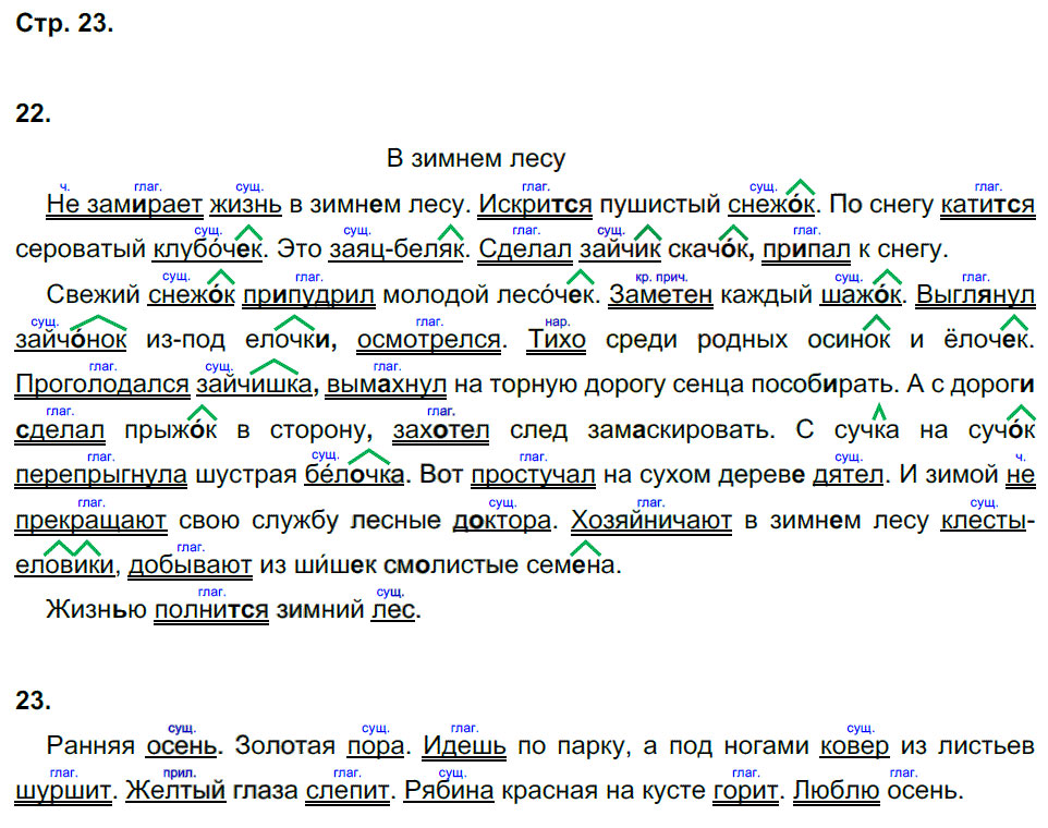 гдз 6 класс рабочая тетрадь часть 1 страница 23 русский язык Тростенцова, Дейкина