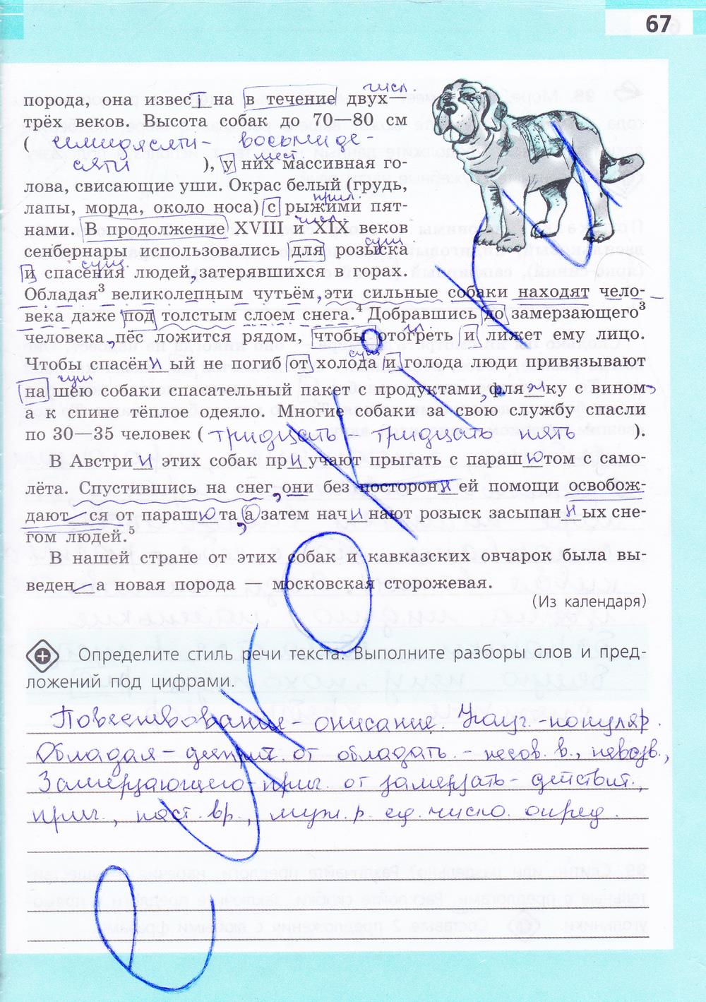гдз 7 класс рабочая тетрадь страница 67 русский язык Ефремова