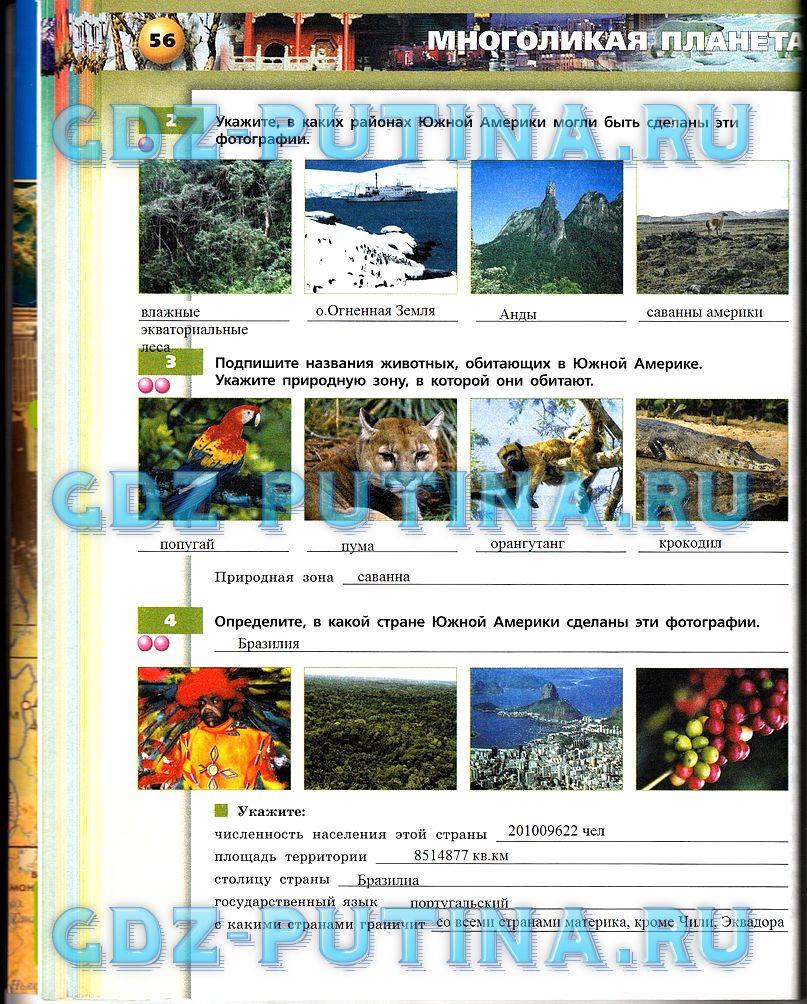 гдз 7 класс тетрадь-тренажёр страница 56 география Котляр, Банников